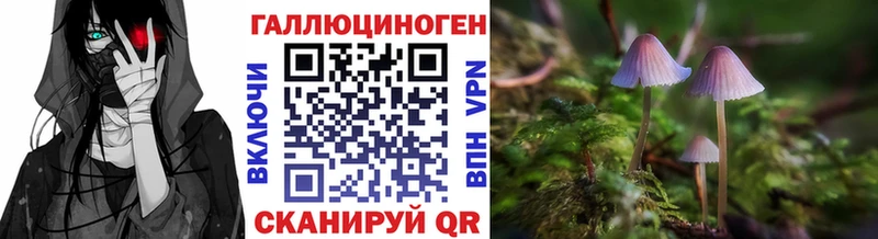 Псилоцибиновые грибы GOLDEN TEACHER  OMG онион  Куса 