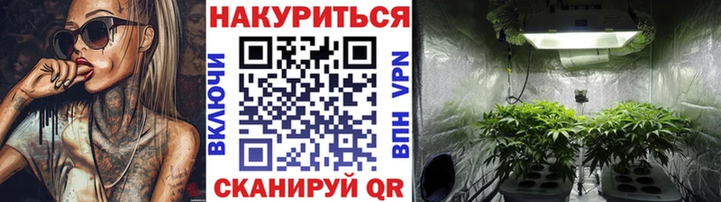 Бошки Шишки планчик  OMG зеркало  Куса  что такое наркотик 